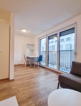 Sonnenlogen - Möbliertes 1 Zi Apartment - Fürth