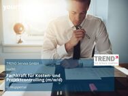 Fachkraft für Kosten- und Projektcontrolling (m/w/d) - Wuppertal