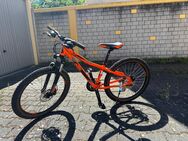 Mountainbike: 24 Zoll - Böhl-Iggelheim