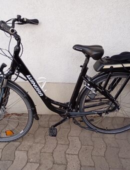 EBikes von Winora 28er - Eime