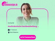 Kaufmännische Sachbearbeitung (m/w/d) - Auftragsabwicklung im Vertriebsinnendienst - Bad Oldesloe