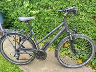 Gepflegtes Trekkingbike Grecos Nevada - Stade (Hansestadt)