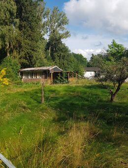 Garten sucht Gärtner/in - Zittau