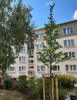 Tolle 3-Raum-Wohnung mit schönem Ausblick - Gera