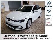 VW Golf, 1.5 TSI VIII Life H&K, Jahr 2024 - Wittenberg (Lutherstadt) Wittenberg