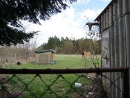 Hauptstadtmakler-Geräumiges Haus mit Pool und großem Grundstück - Bliesdorf