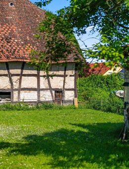 Landidyll auf großzügigem Anwesen mit vielfältiger Nutzungsmöglichkeit - Breisach (Rhein)