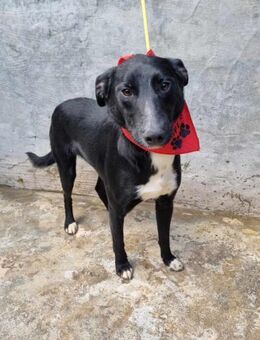 Kleiner, ruhiger Berti - Eichenzell