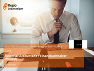 Financial Accountant / Finanzbuchhalter (m/w/d) - Wetzlar