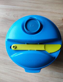 TUPPERWARE To Go Salat&Go 1,5L blau limette Salat & Go - Witten