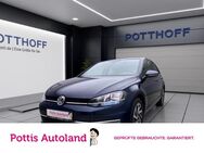 VW Golf, 1.6 TDI 7 VII AppConnect, Jahr 2017 - Hamm