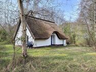 Ihr Ferienhaus auf Hiddensee - Insel Hiddensee