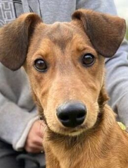 LIAM war ganz alleine - Gefrees