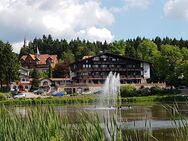 2-Zimmer Eigentumswohnung in Hahnenklee - Goslar