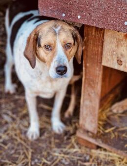 MAXWELL möchte DER EINE sein ♥️ - München