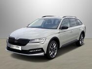 Skoda Superb, 2.0 TDI Combi Scout FinalEdition, Jahr 2024 - Schlüchtern