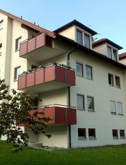 SCHÖNE WOHNUNG + GROSSER BALKON: 2 Zi, Bitz - Bitz