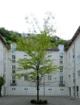 Attraktive Wohnung mit Terrasse in zentraler und ruhiger Lage! - Weißenfels