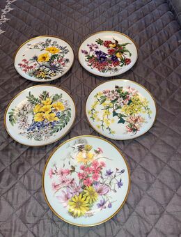 Set von 5 Sammlertellern Blumen Deutschlands - Franklin Porzellan - Mülheim (Ruhr)