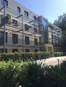 4 Zimmer Dreieich Buchschlag - Moderne Neubau-Wohnungen direkt am Wald - Dreieich