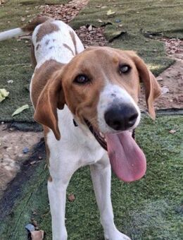 Gretel; jetzt wird los gelebt - Geilenkirchen