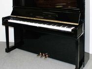 Klavier Yamaha U10A, 121 cm, schwarz poliert, Nr. 4855523, 5 Jahre Garantie - Egestorf