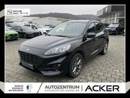 Ford Kuga, 2.5 ST-Line X, Jahr 2022 - Bad Berleburg