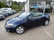 VW Golf, 1.2 TSI VI Cabrio Life, Jahr 2013 - Harsefeld