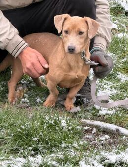 Ich heiße Michi .... mit Video - Frankfurt (Main)