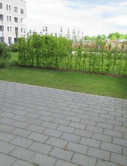 WOHNEN AM WALDRAND ... 3 KALTMIETEN FREI* ... - Wolfsburg