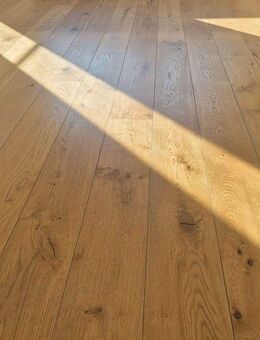 Goldesel in Bad Kissingen zu verkaufen! - Bad Kissingen