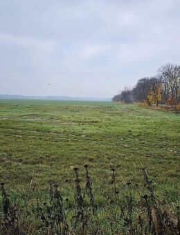 Drei-Seiten-Hof mit viel landwirtschaftlichen Flächen - Uebigau-Wahrenbrück