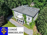 Villa im klassizistischen Stil mit großer Parkanlage zu verkaufen. Mehrfamilienhaus, Villa im Park - Radevormwald (Stadt auf der Höhe)