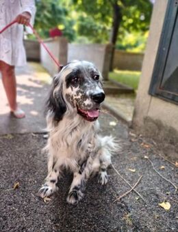 Max - Würzburg