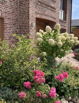 Traumhaus im Landhausstil mit Gartenparadies - Wohnen mit Stil und Komfort - Harsewinkel (Mähdrescherstadt)