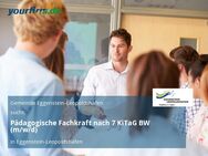 Pädagogische Fachkraft nach 7 KiTaG BW (m/w/d) - Eggenstein-Leopoldshafen