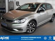 VW Golf, 1.0 TSI 7 IQ DRIVE, Jahr 2019 - Blomberg (Nordrhein-Westfalen)