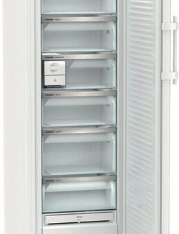 Liebherr Gefrierschrank No Frost FNB 5056-20; EEK: B - Kaiserslautern