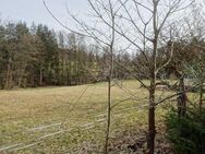 Großes, letztes Grundstück in Lauf in idyllischer Lage an Pferdewiese und Wald - Lauf (Pegnitz)
