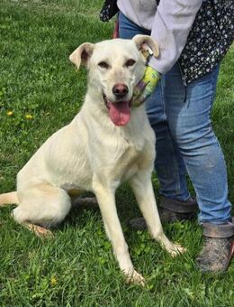 SEHR sozial gutmütig kinderlieb = MINA♥️ - München