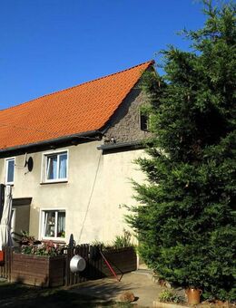Immobilie mit Weitblick- EFH mit Scheune + Landwirtschaftsflächen in Roda - Nünchritz