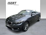 BMW 218 d Cabrio Advantage A.+NAVI+H&K+DAB+SPORTSITZ - Kronach