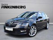 Skoda Octavia, 2.0 TDI Combi Soleil, Jahr 2019 - Verden (Aller)