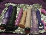 Wer möchte meine dildos? - Kiel