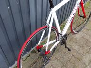 Bulls Rennrad nur 3mal benutzt - Hohberg
