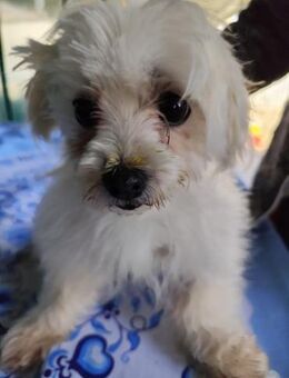 LENI - behütetes entspanntes Zuhause - Overath