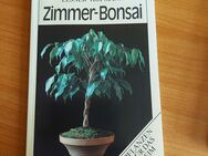 Zimmer-Bonsai von Elsner/Hofmann NEU! - Leipzig Ost