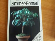 Zimmer-Bonsai von Elsner/Hofmann - Leipzig Ost