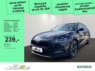 Skoda Octavia, 2.0 TDI Combi Sportline, Jahr 2024 - Leutkirch (Allgäu)