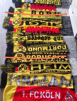 BVB Schals Deutschland - Werl